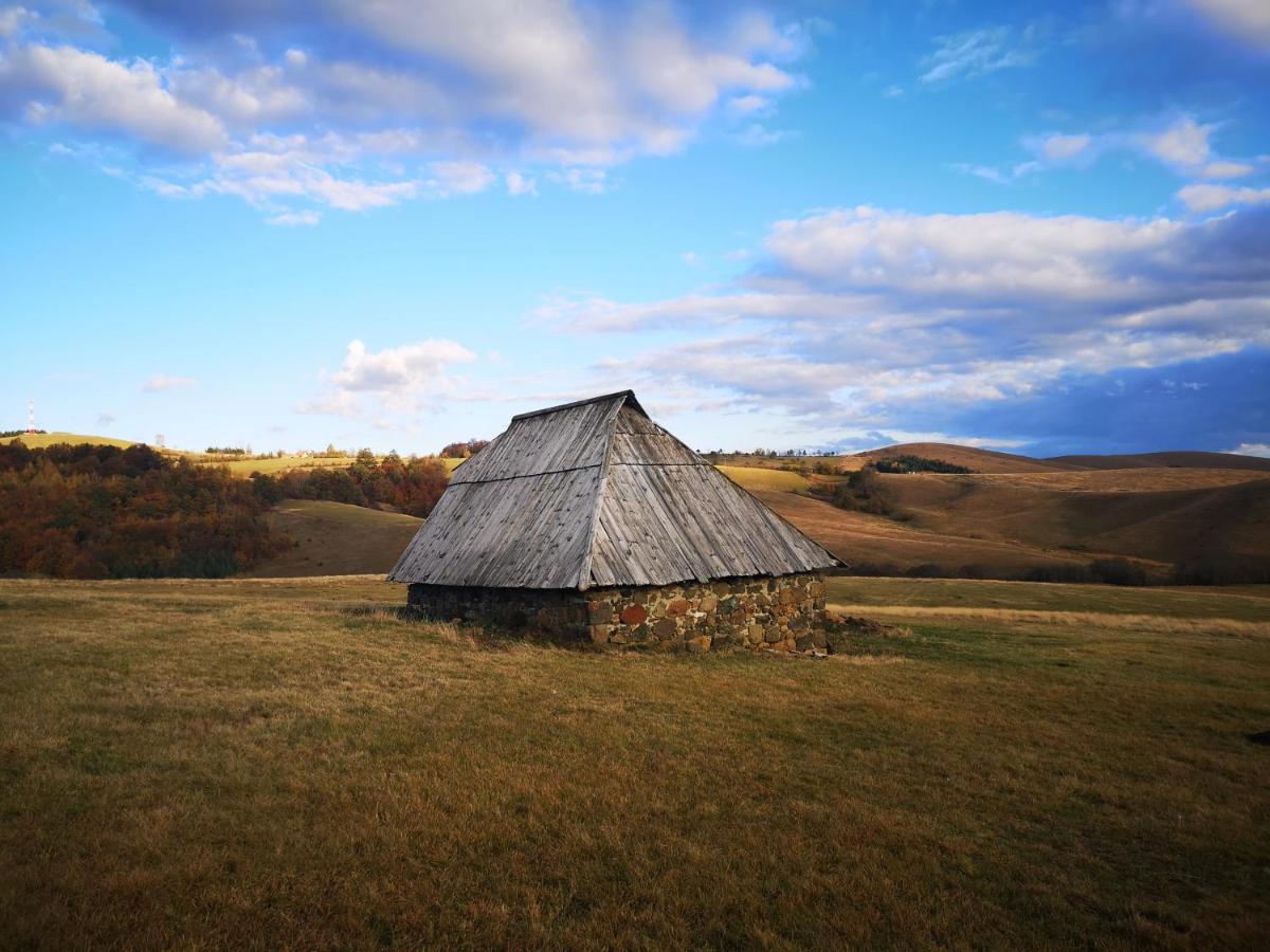 Adonis 201 Leilighet Zlatibor Eksteriør bilde